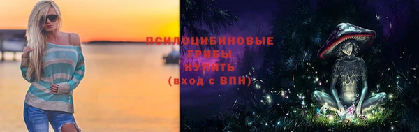 крисы Лагань