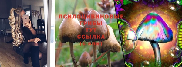 крисы Лагань