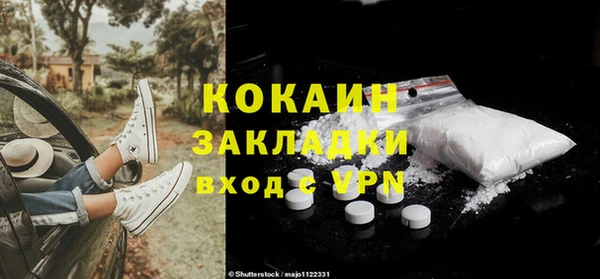 крисы Лагань
