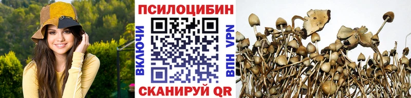цены наркотик  Ухта  Галлюциногенные грибы прущие грибы 