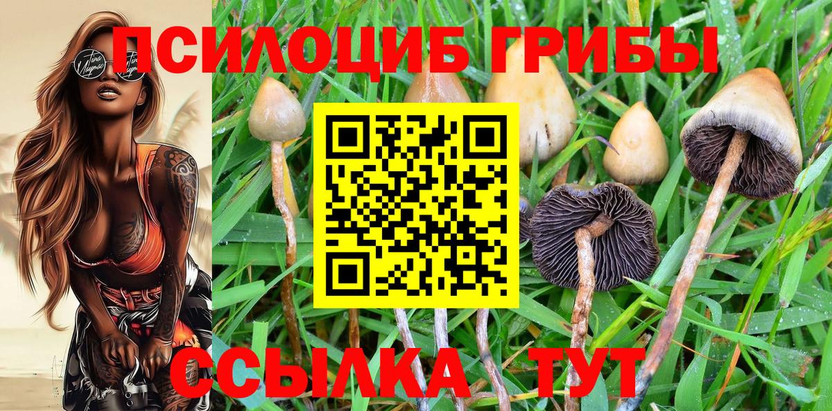 Псилоцибиновые грибы ЛСД  Вход с VPN  Ухта  Псилоцибиновые грибы MAGIC MUSHROOMS 